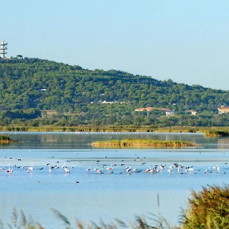 Les Heliades-1 By Interhome 阿格德